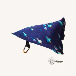Coussin ISIDOR HOUSTON (fond bleu avec des fusées)
