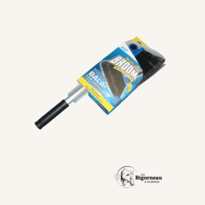 Balai rétractable + Pelle