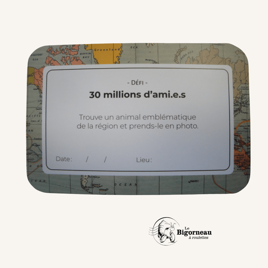 Jeu de cartes VANLIFE CHALLENGE – Image 2