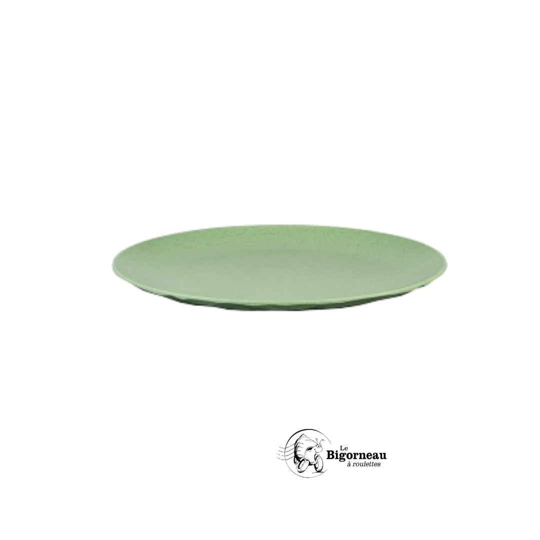 ASSIETTE PLATE VERTE 260mm VERTE Koziol